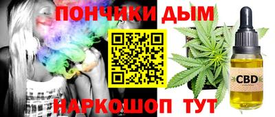 шишки Надым